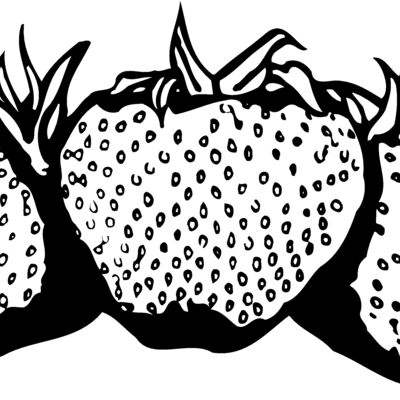 FRUIT034 Thumbnail