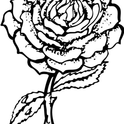 FLOWER05 Thumbnail