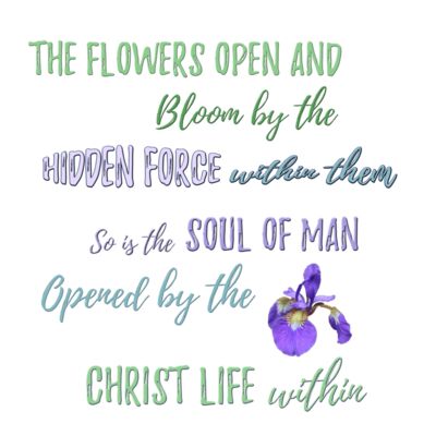 The Flowers Bloom Thumbnail