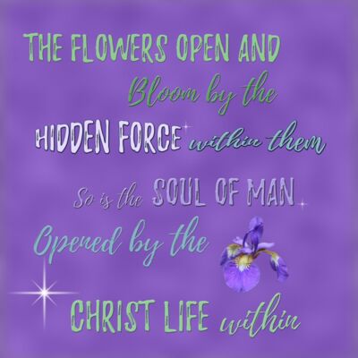 The Flowers Bloom with Background Thumbnail