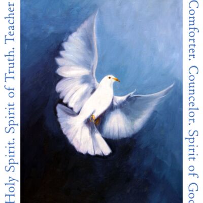 Dove flying with names of the Holy Spirit T-Shirt Thumbnail